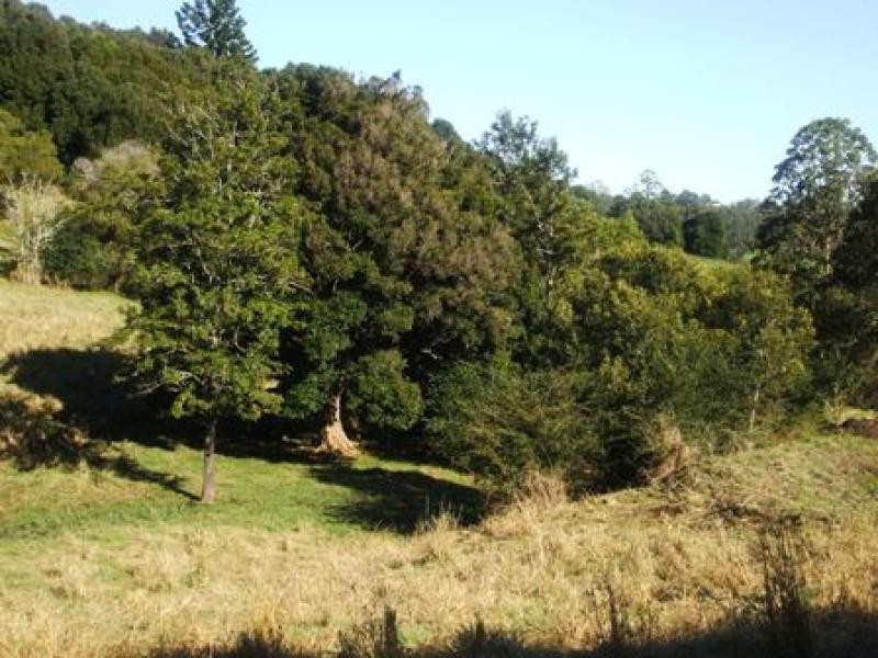 Mcleans Ridges NSW 2480