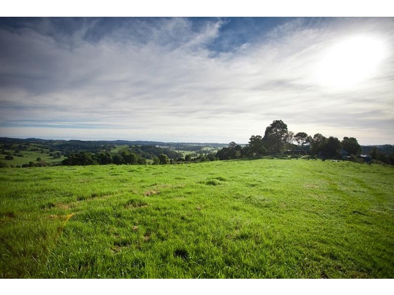 138 Hull Road, Rosebank NSW 2480