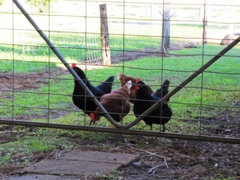 22 Old Byron Bay Road, Newrybar NSW 2479