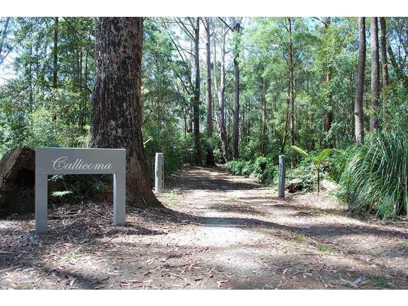 770 Koonyum Range Road, Wilsons Creek NSW 2482