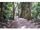 770 Koonyum Range Road, Wilsons Creek NSW 2482