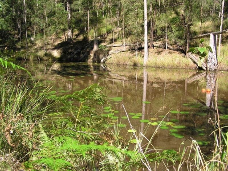 Austinville QLD 4213