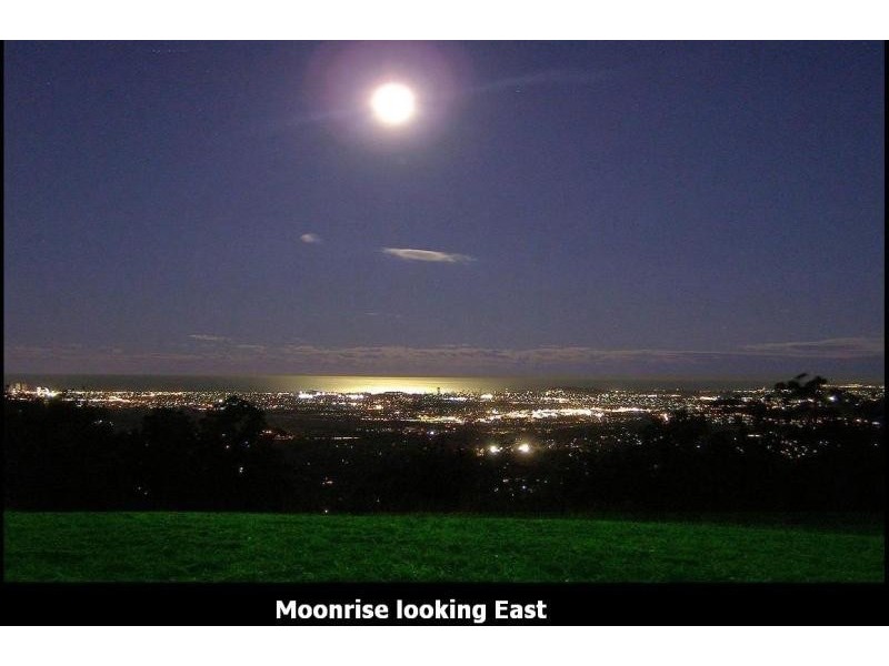 385 THE PANORAMA, Tallai QLD 4213