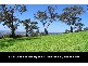 385 THE PANORAMA, Tallai QLD 4213