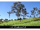 385 THE PANORAMA, Tallai QLD 4213