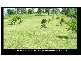 385 THE PANORAMA, Tallai QLD 4213