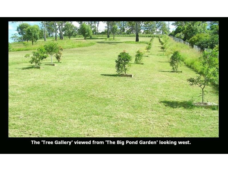 385 THE PANORAMA, Tallai QLD 4213