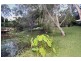 Tallai QLD 4213