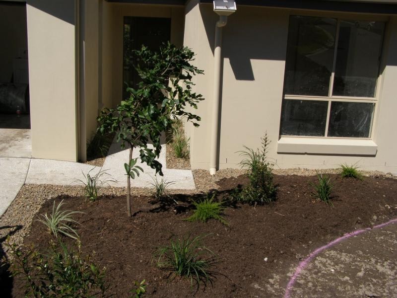 29 Glauca Street, Burleigh Heads QLD 4220