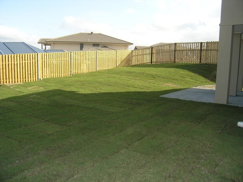 33 Abercrombie Crescent, Upper Coomera QLD 4209