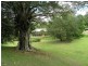 51 Veronica Drive, Tallai QLD 4213