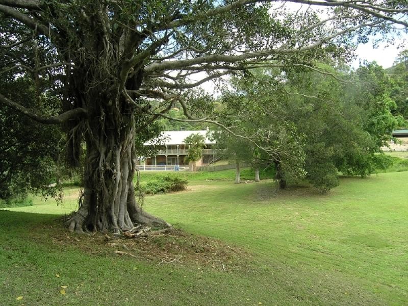 51 Veronica Drive, Tallai QLD 4213