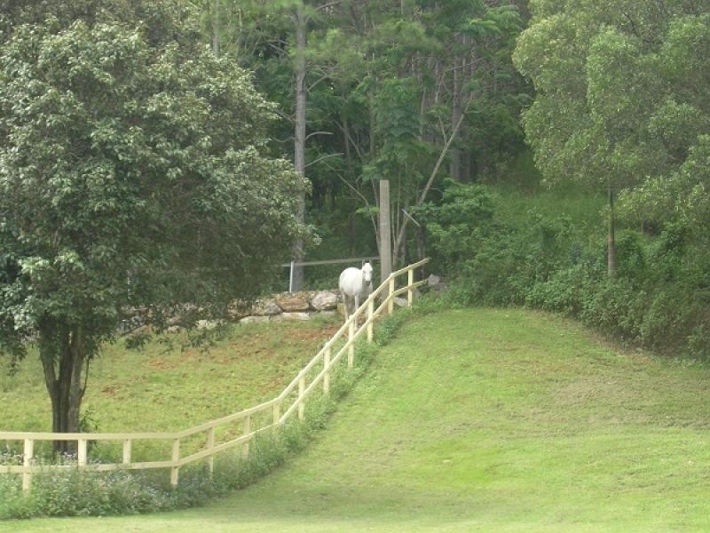 51 Veronica Drive, Tallai QLD 4213