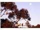 Mudgeeraba QLD 4213