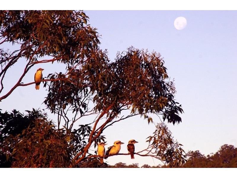Mudgeeraba QLD 4213