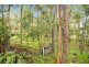 6 Talgarno Place, Tallai QLD 4213