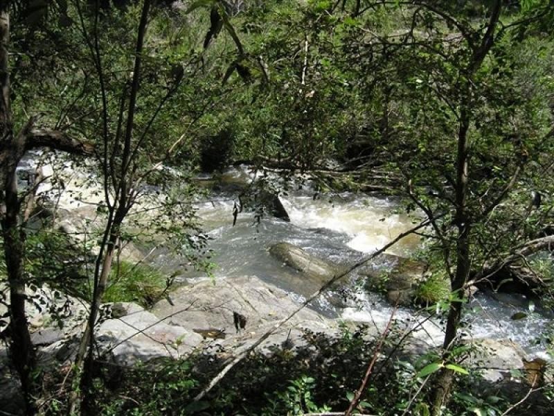 Austinville QLD 4213