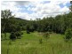 Austinville QLD 4213