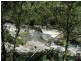 Austinville QLD 4213