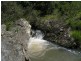 Austinville QLD 4213