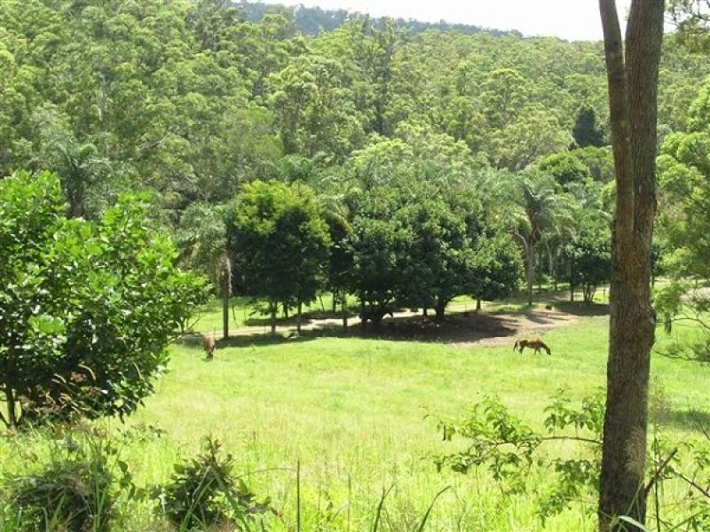 Austinville QLD 4213