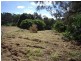 51 Abbott Court, Guanaba QLD 4210