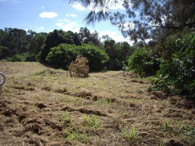 51 Abbott Court, Guanaba QLD 4210