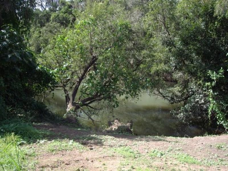 51 Abbott Court, Guanaba QLD 4210