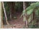 2713 Springbrook Road, Springbrook QLD 4213