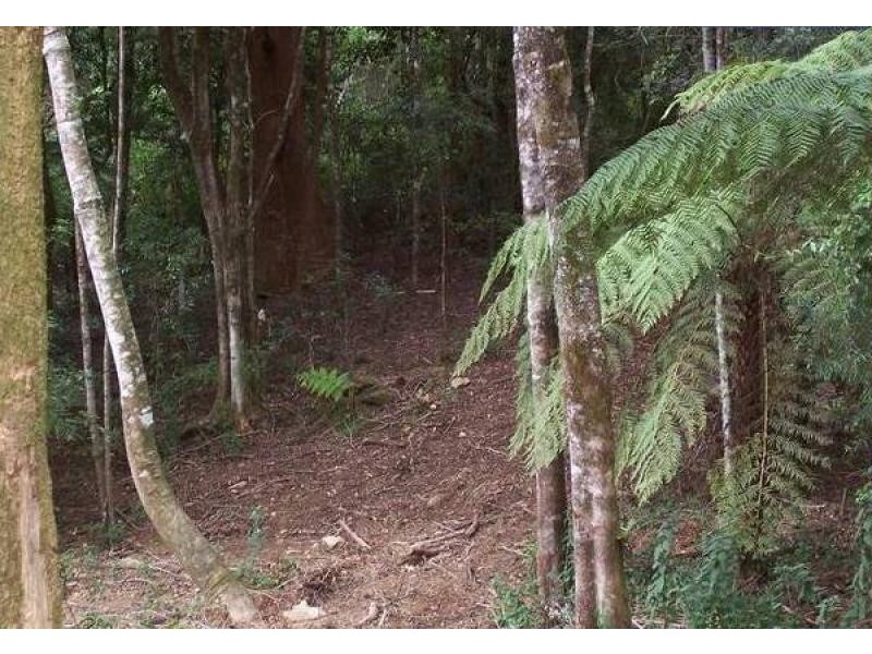 2713 Springbrook Road, Springbrook QLD 4213