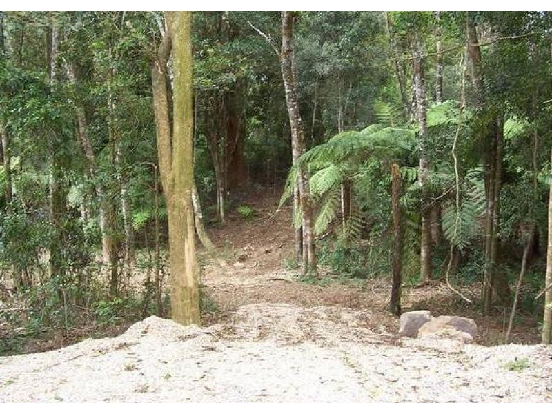 2713 Springbrook Road, Springbrook QLD 4213