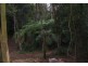 2713 Springbrook Road, Springbrook QLD 4213