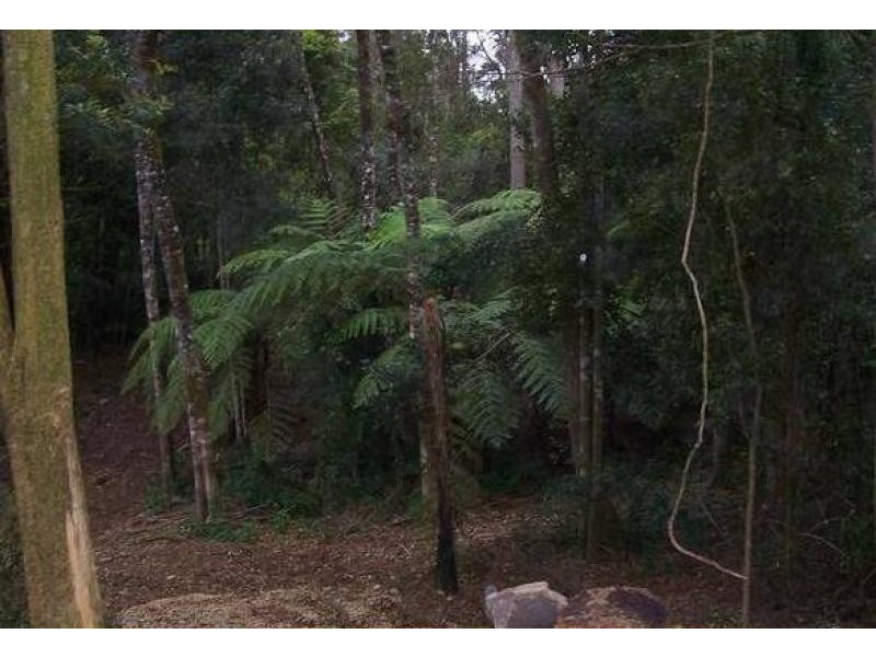 2713 Springbrook Road, Springbrook QLD 4213