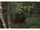 2713 Springbrook Road, Springbrook QLD 4213