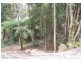 2713 Springbrook Road, Springbrook QLD 4213