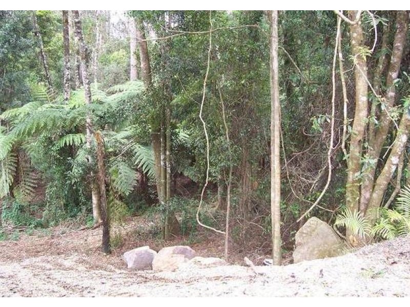 2713 Springbrook Road, Springbrook QLD 4213