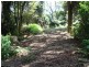 2713 Springbrook Road, Springbrook QLD 4213