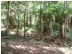 2713 Springbrook Road, Springbrook QLD 4213