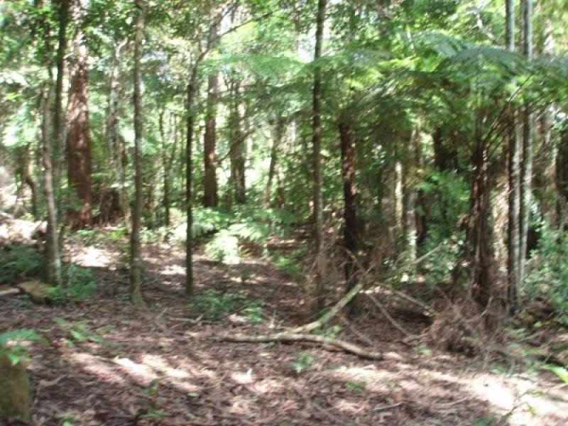 2713 Springbrook Road, Springbrook QLD 4213