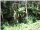 2713 Springbrook Road, Springbrook QLD 4213