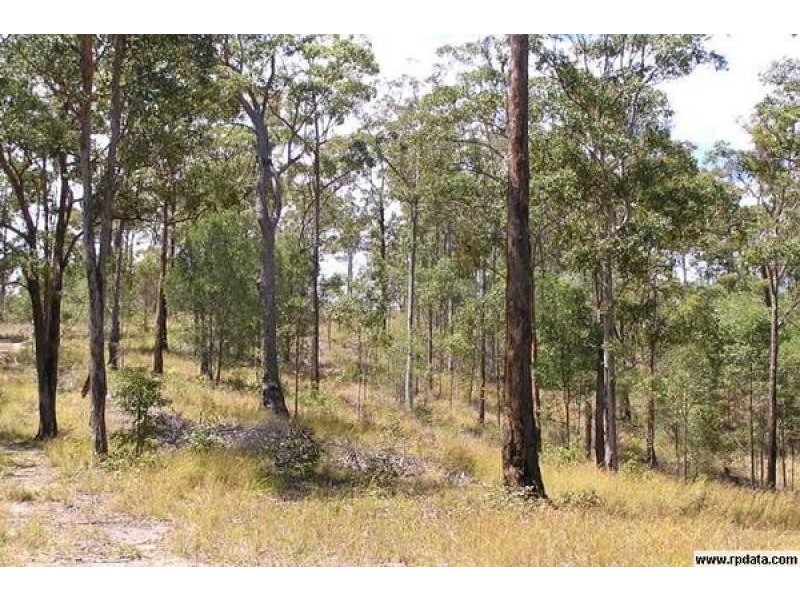 341 Austinville Road, Austinville QLD 4213