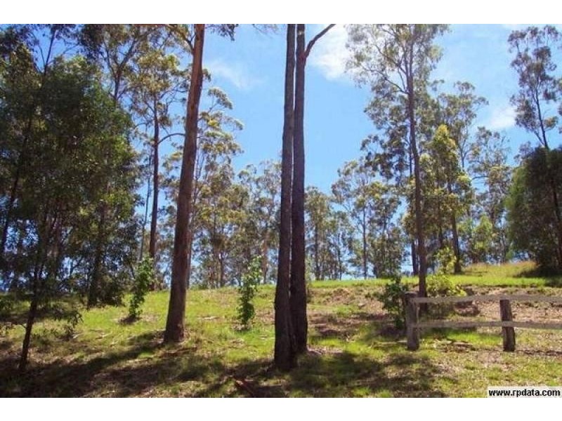 341 Austinville Road, Austinville QLD 4213