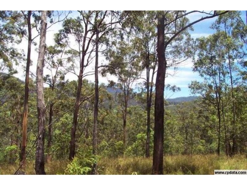 341 Austinville Road, Austinville QLD 4213