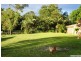 42 Whittings Road, Guanaba QLD 4210