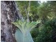 Lot 11 Piggotts Road, Guanaba QLD 4210