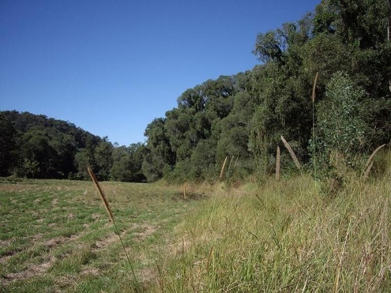 Lot 11 Piggotts Road, Guanaba QLD 4210