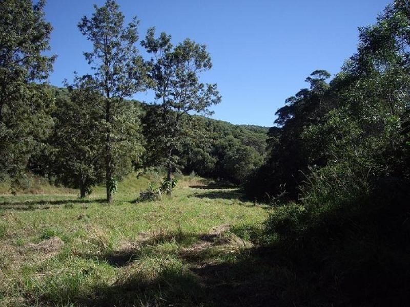 Lot 11 Piggotts Road, Guanaba QLD 4210