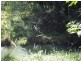 Lot 11 Piggotts Road, Guanaba QLD 4210