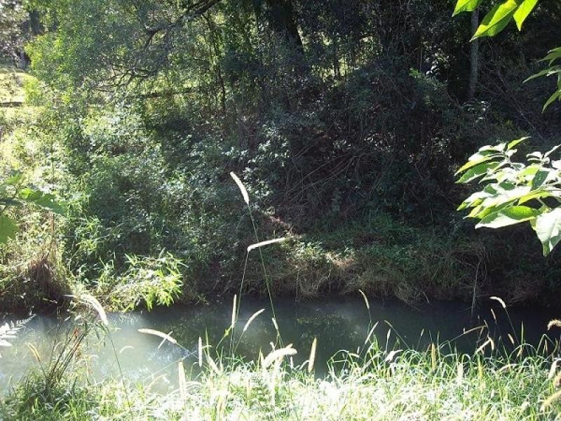 Lot 11 Piggotts Road, Guanaba QLD 4210