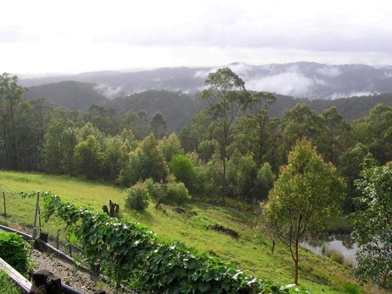 259 Monaro Road, Mudgeeraba QLD 4213